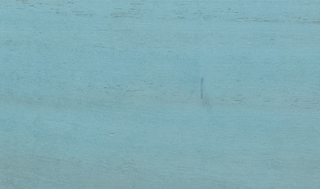 Princess Tree – Sky Blue