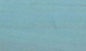 Princess Tree – Sky Blue