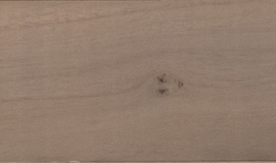 Princess Tree – Weathered Gray